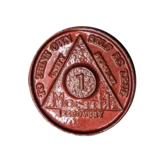 1 Month AA Sobriety Chip