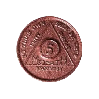 5 Month AA Sobriety Chip