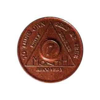 7 Month AA Sobriety Chip