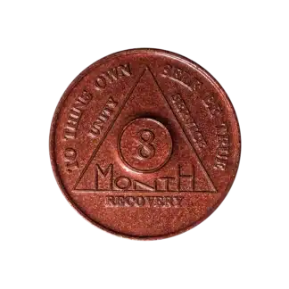 8 Month AA Sobriety Chip