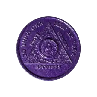 9 Month AA Sobriety Chip