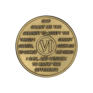 Al-Anon 6 Year Bronze Medallions