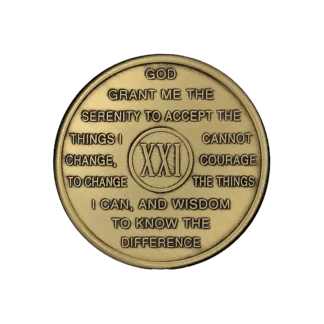 AI-Anon 21 Year Bronze Medallion