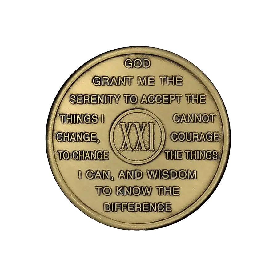 AI-Anon 21 Year Bronze Medallion