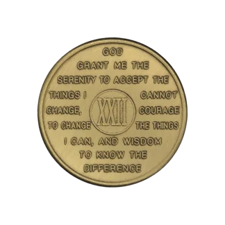 AI-Anon 22 Year Bronze Medallion