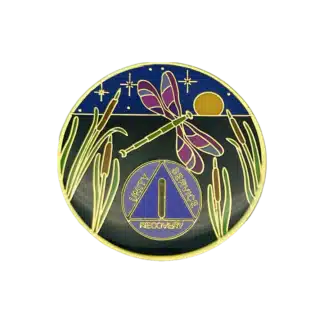 AA Dragonfly enamel yearly medallion