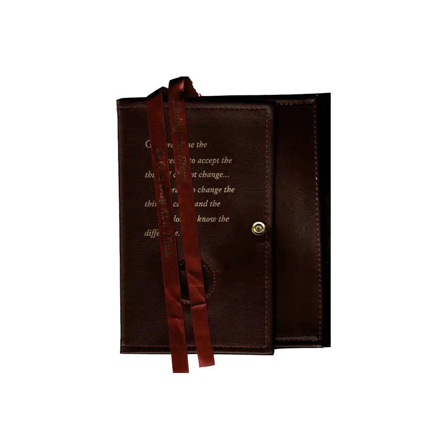AA Burgundy Dual Big Book Cover