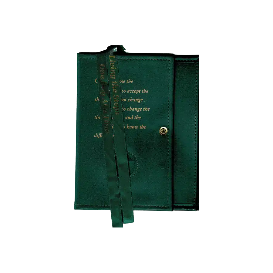 AA Green Dual Big Book Cover