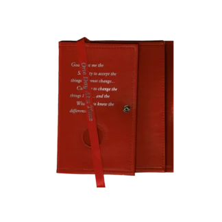 AA Red Dual Big Book Cover