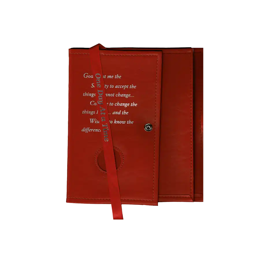 AA Red Dual Big Book Cover