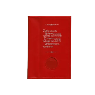 AA Mini Big Book Cover Red