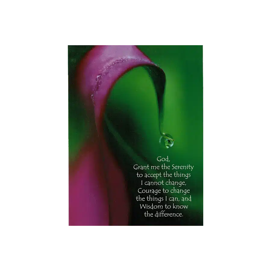 Dew Drop Serenity Greeting Card