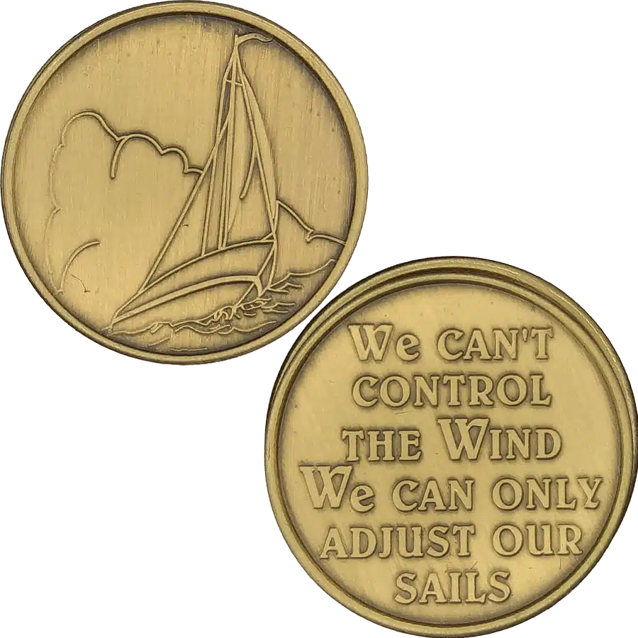 We Can't Control Affirmation Coin - Image 2