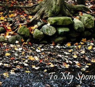 Sponsor Gratitude Greeting Card
