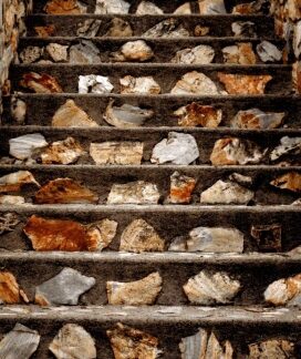 One step at a time Greeting Card