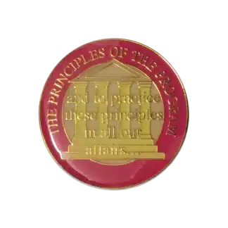 Principles Hot Pink Enamel Medallion