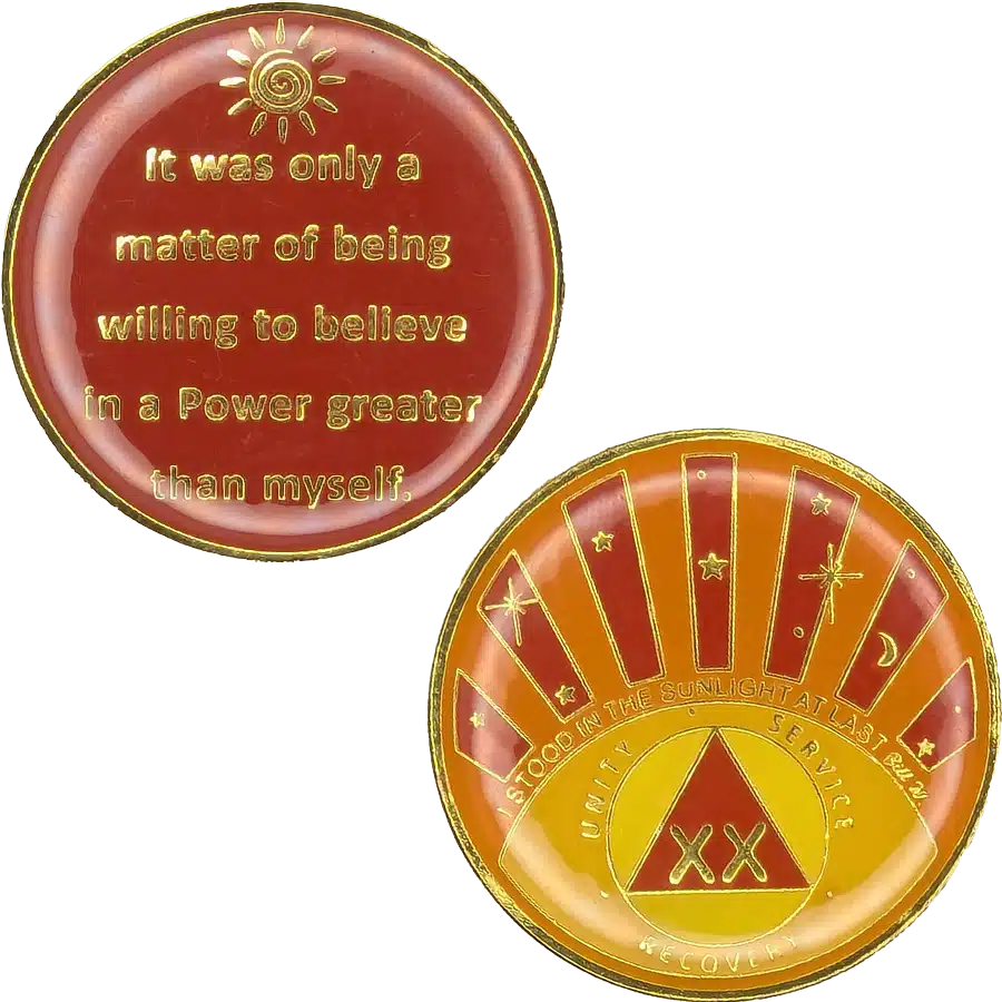 AA Sunlight Year / Birthday Medallion - Image 2
