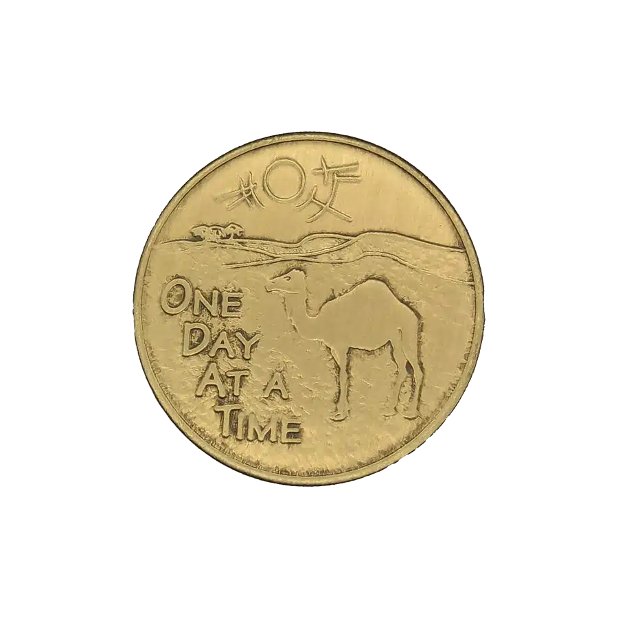 Camel Affirmation Coin