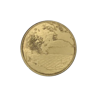 Serenity in a Storm Affirmation Coin