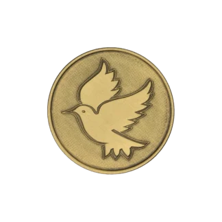 Kindness Affirmation Coin