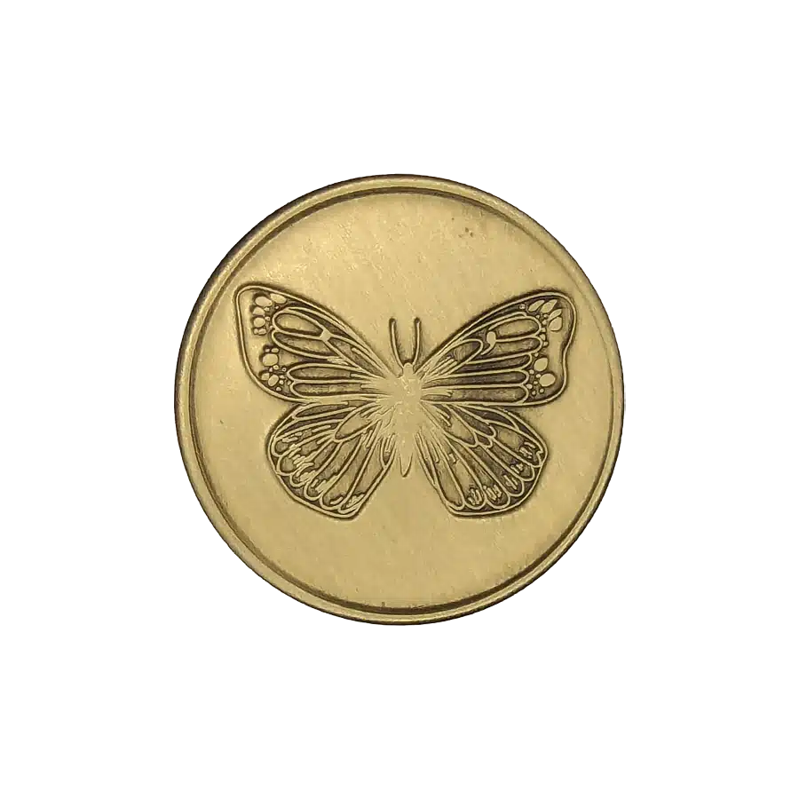 Butterfly Affirmation Coin