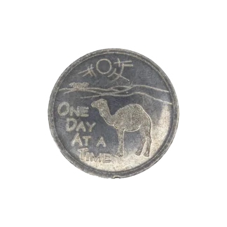 Camel Affirmation Chip